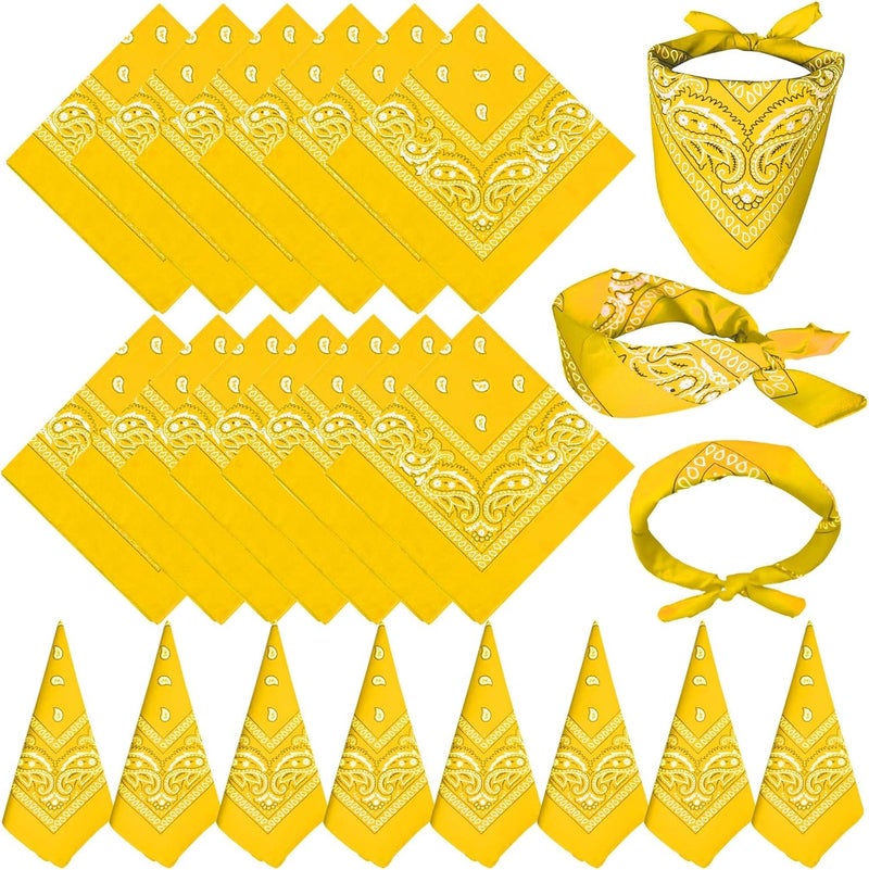 TFengfly 24 Pack Paisley Bandanas Bulk Unisex Cowboy Bandanas Head Scarf Necktie Face Cover - Image 1